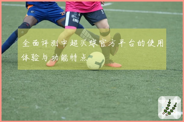 全面评测中超买球官方平台的使用体验与功能特点